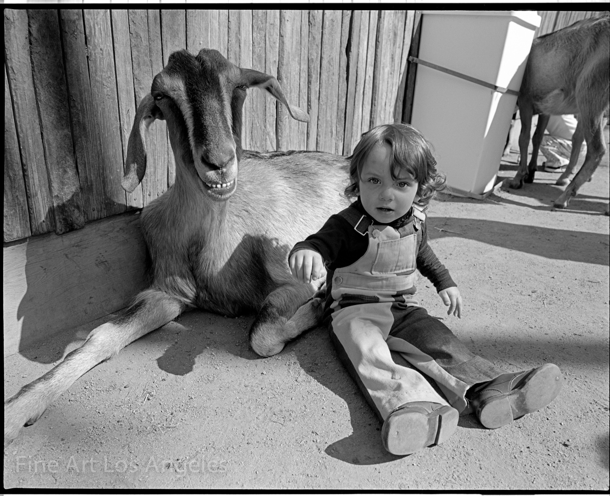 Neal White photo, young child and goat, state fair, 1990s
