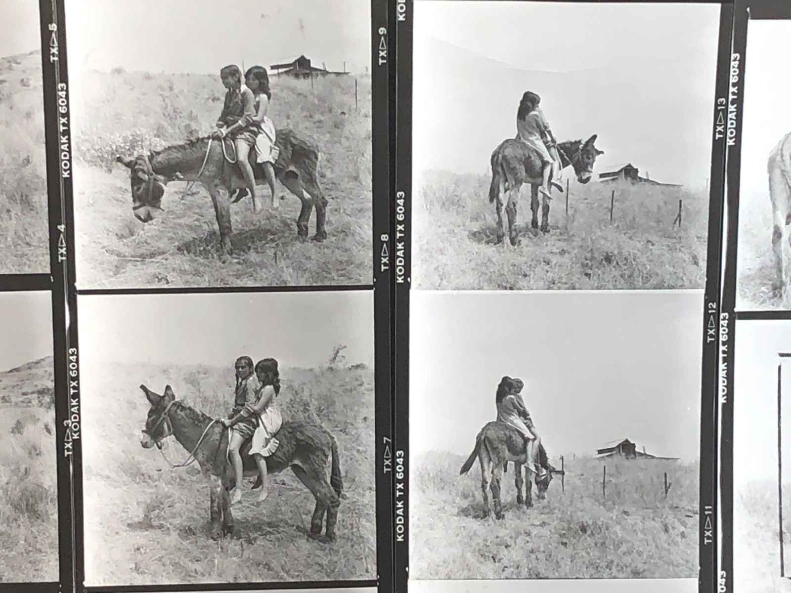 NEWLY FOUND! Hendrickson PHOTO Contact Sheet Proof & Negatives GIRLS RIDE DONKEY
