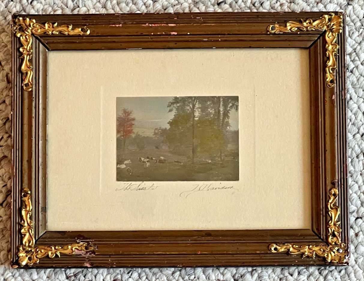 Rare David Davidson Hand Colored Photo “The Siesta” Cows In A Wooded Field