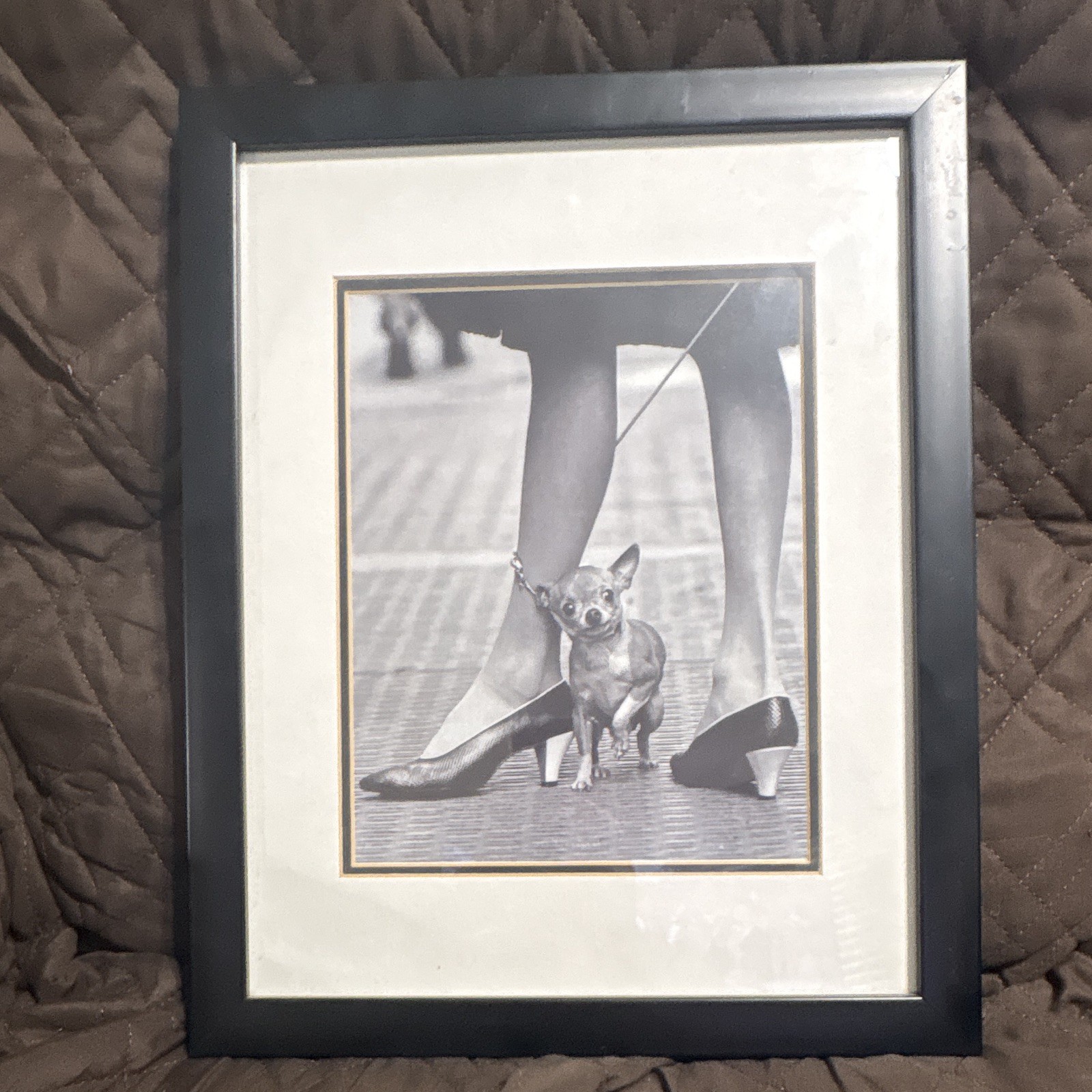 Yale Joel LIFE COA Framed Matted B&W Photo Chihuahua & Pappagallo Shoes