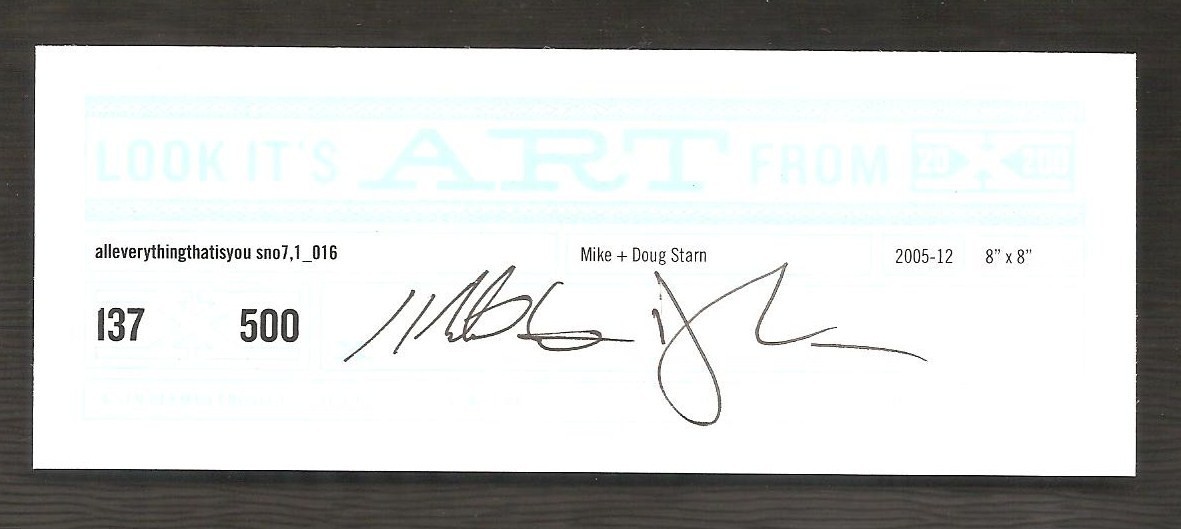 MIKE & DOUG STARN TWINS ‘Sno7,1_016 (Snowflake)’, 2005 SIGNED Photograph **NEW**