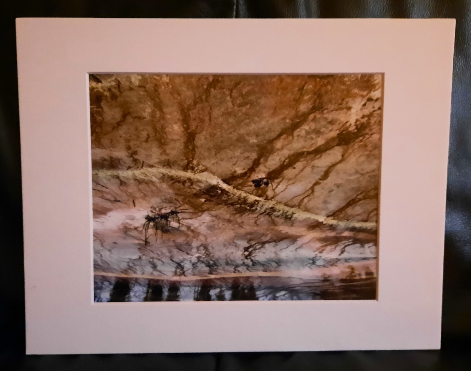 Matted Photograph: Earth Patterns