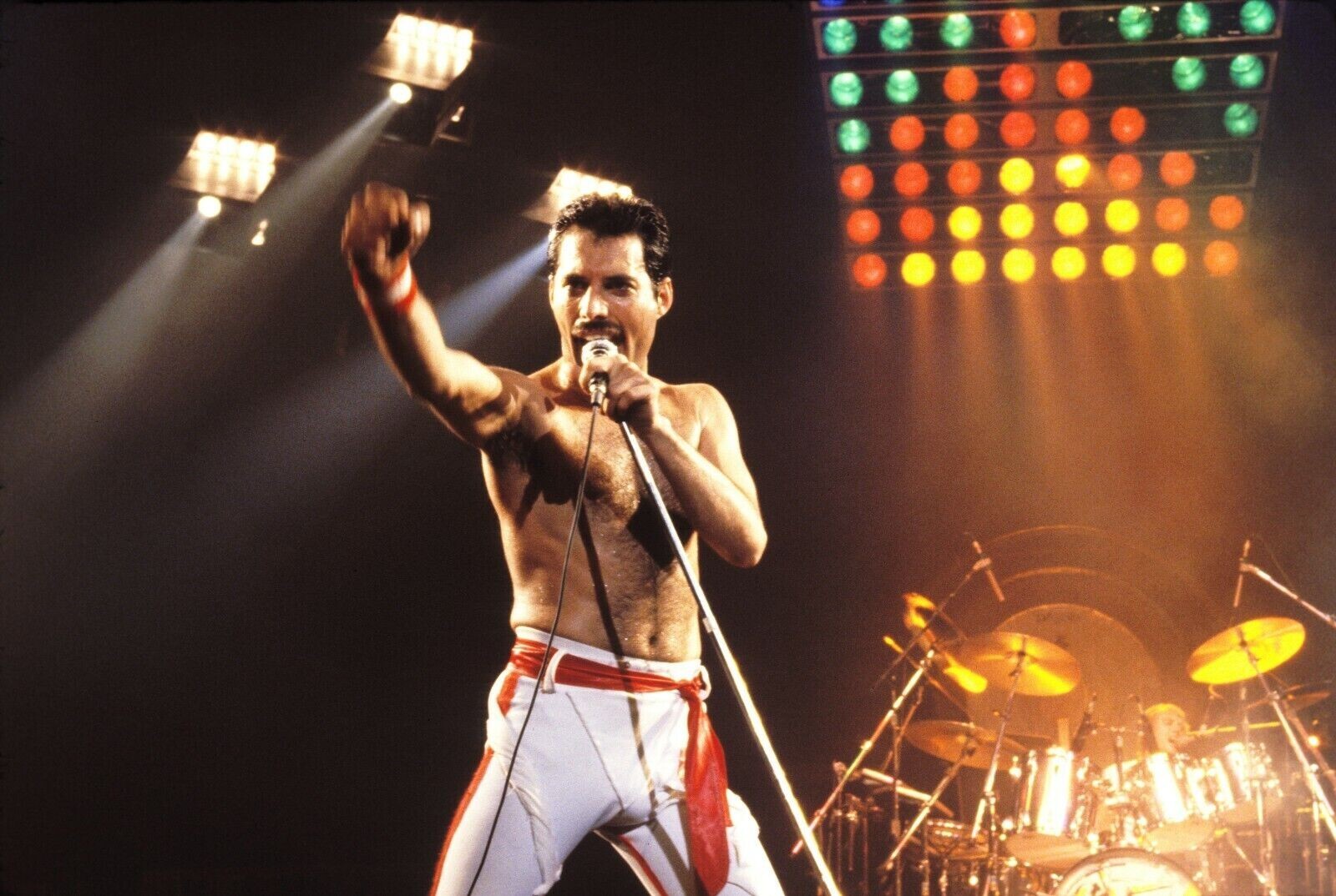 Freddie Mercury Photo Poster 13×19