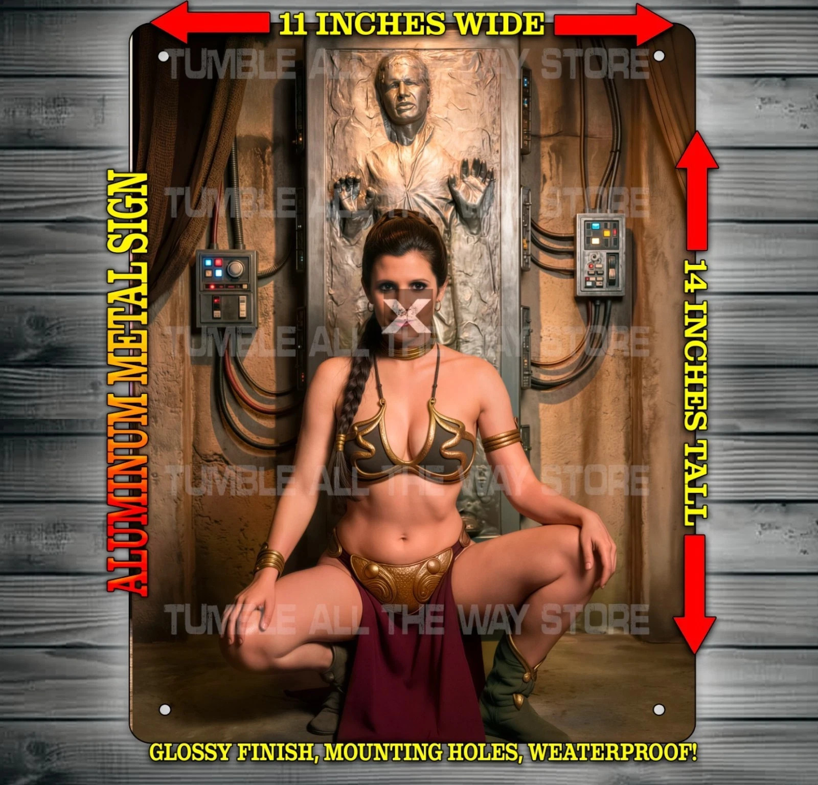 Slave Leia and Padme Amidala Cosplay Sexy Star Wars ADULT Metal Sign 14″ x 11″
