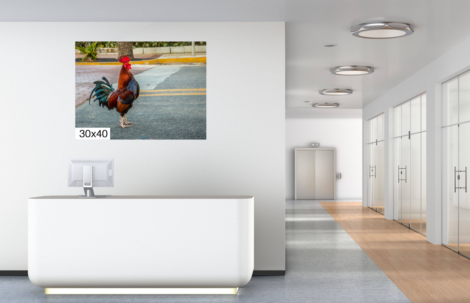 Key West Rooster Crossing the Street, Florida Keys Photography Print