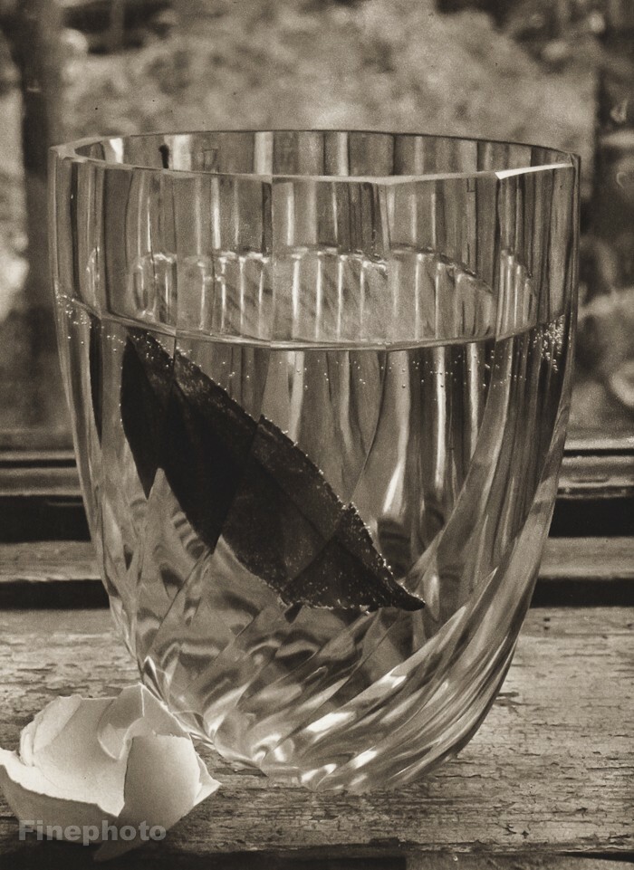 1950 Josef Sudek Still Life Glass Leaf Egg Photo Original Vintage Photo Gravure