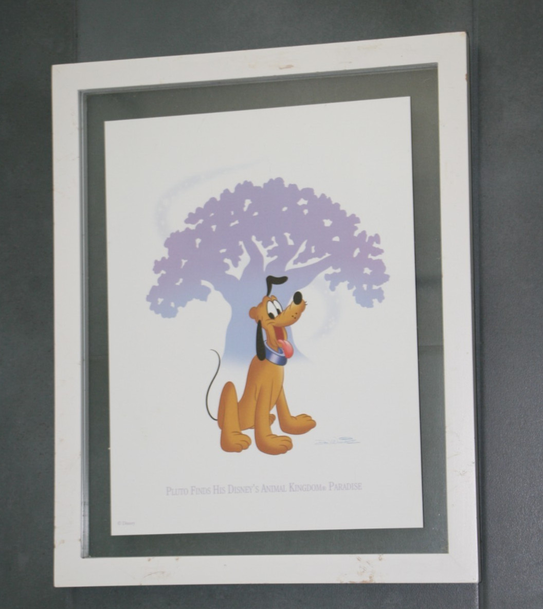 Disney Pluto Animal Kingdom Donald Duck Hollywood Studios Goofy Epcot Lith Set