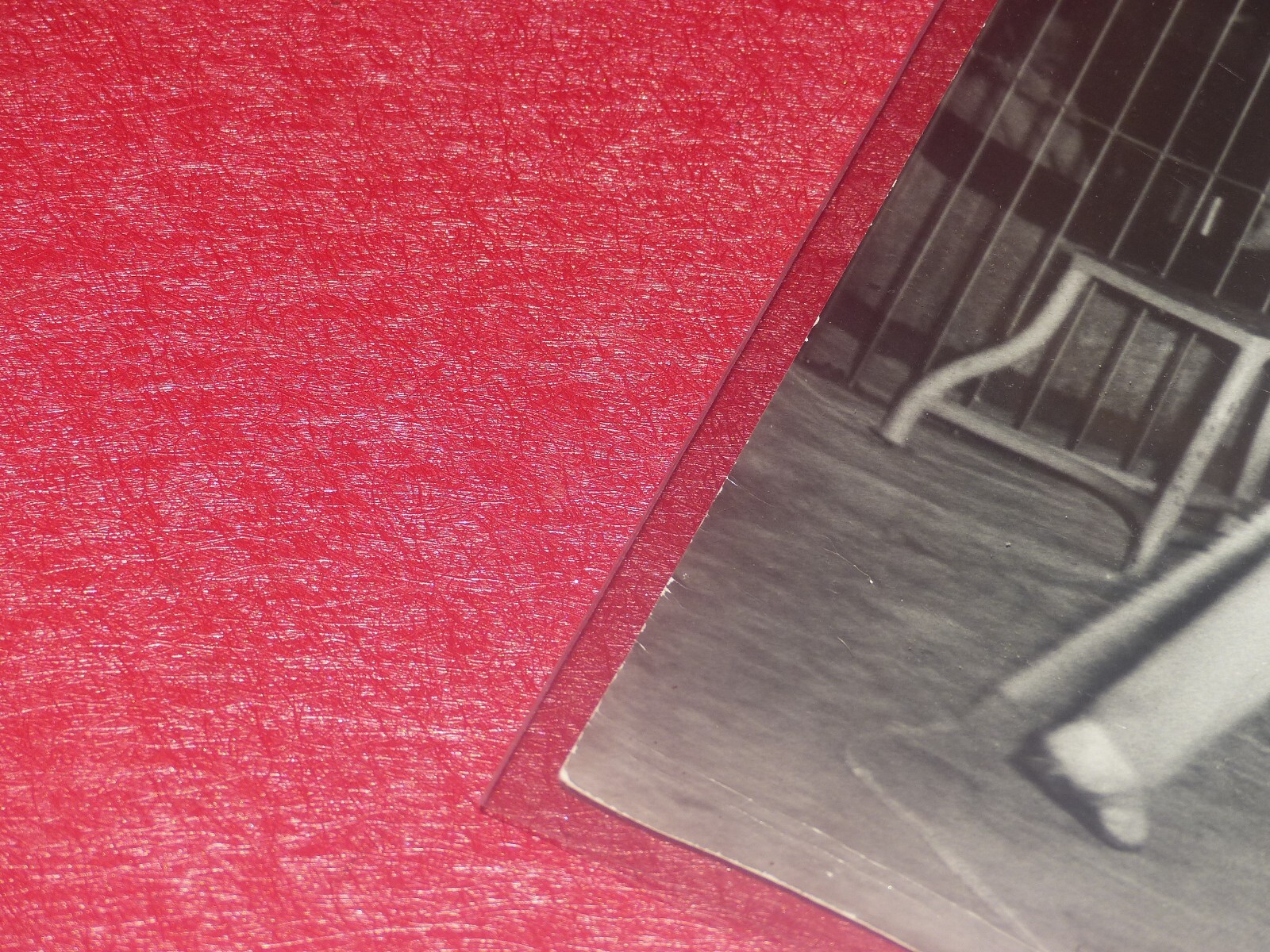 [CIRCUS] LARGE VINTAGE PHOTO / THE TIGER Tamer Ca 1970 40 X 30 Cm