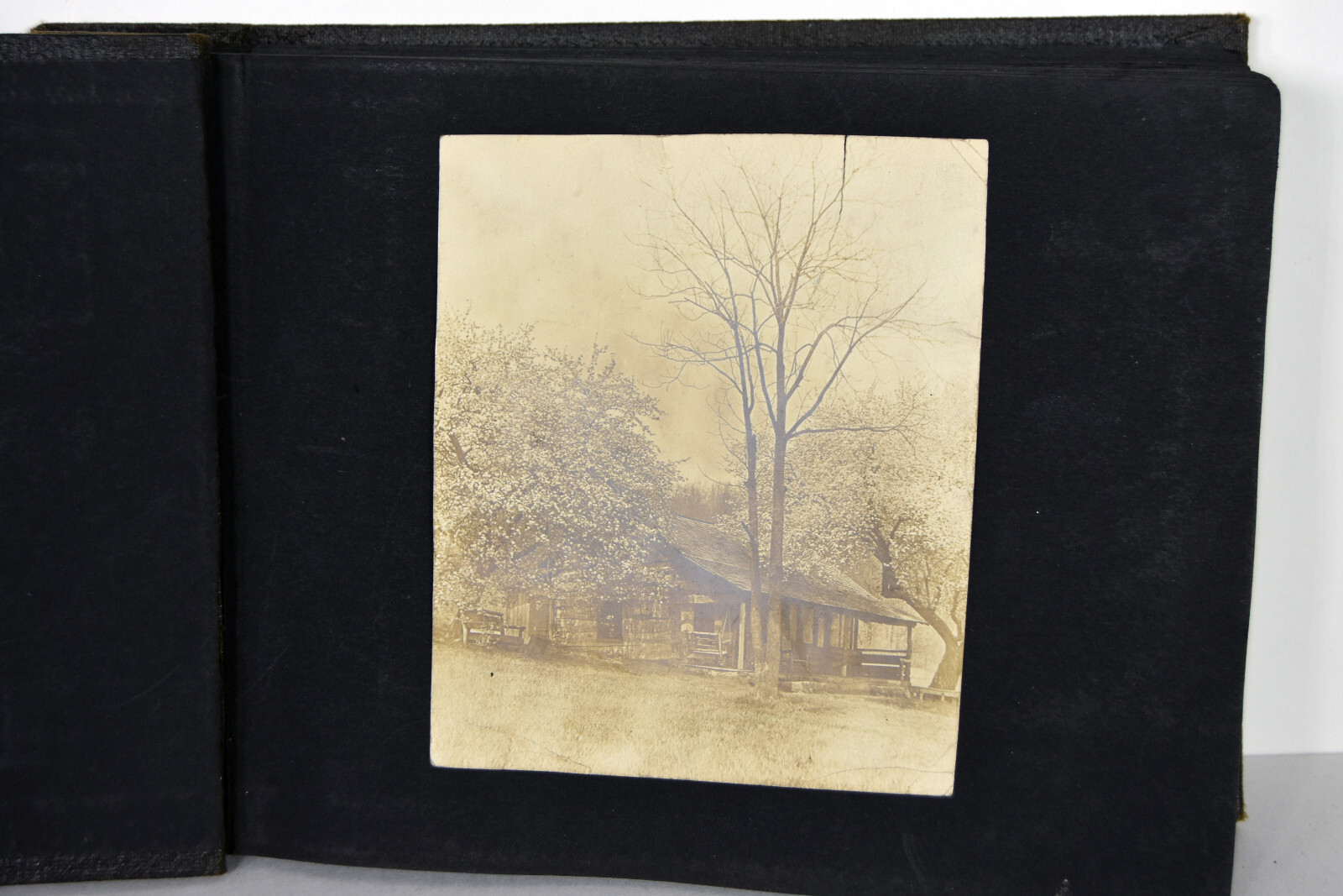 Antique Photo Album PA Conneaut Lake Pennsylvania Nurse Pets Horses Women