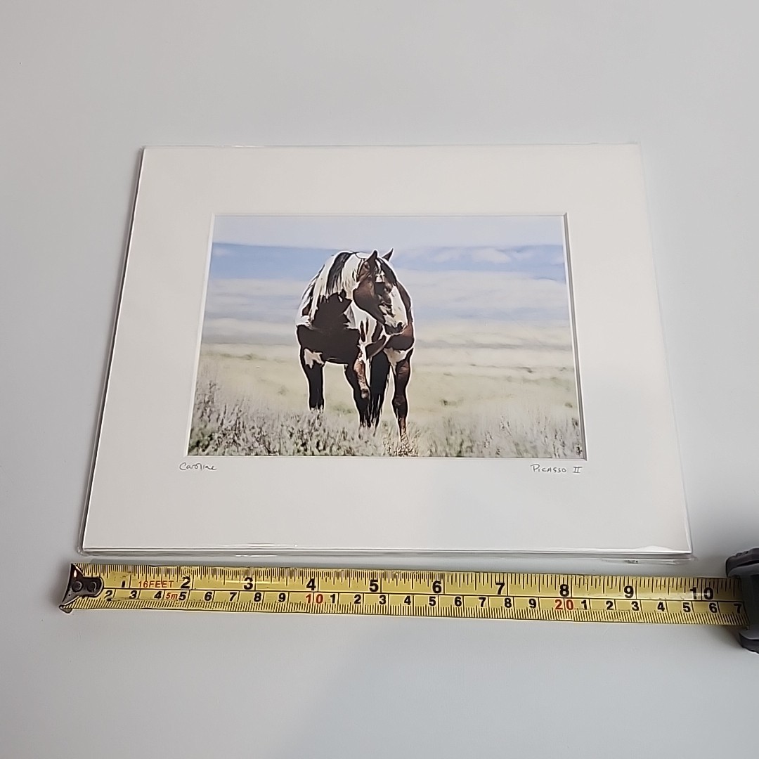 Horse Photograph Lot of 3 Equestrian Caroline Christie Signed Matted