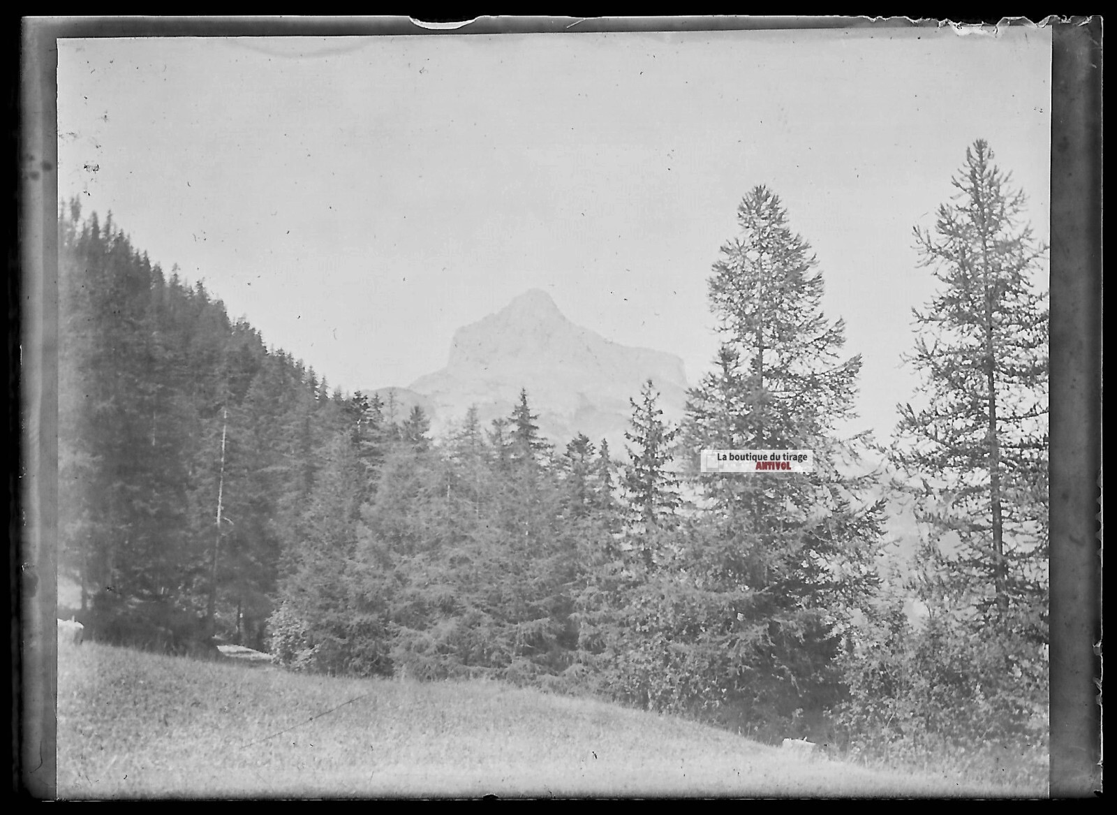 Old Black And White Photo Glass Plate Negative 6X9 Cm Landscape Alps Mountain