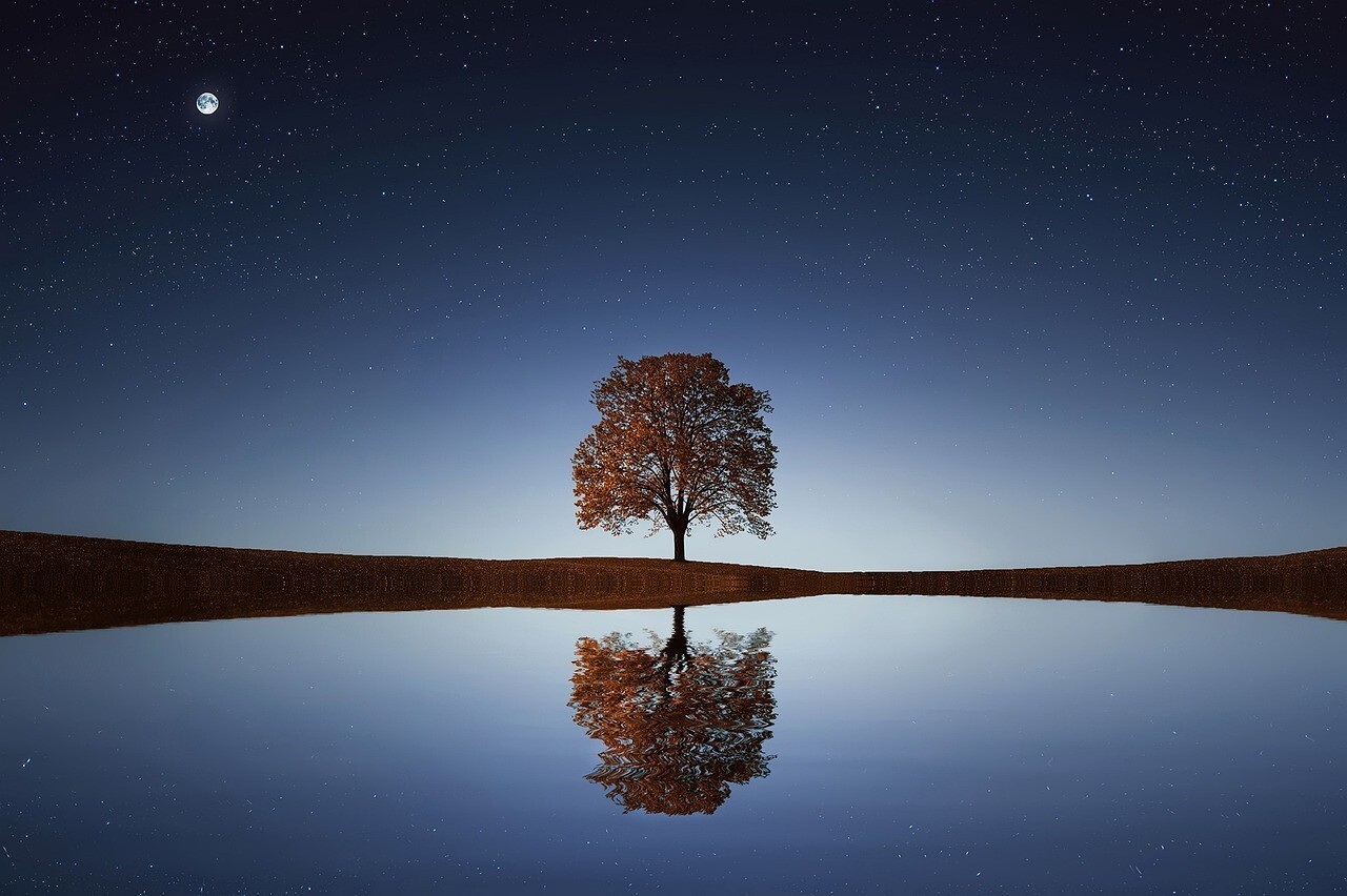 Digital Image Picture Photo Pic Wallpaper Background Lake Sunset With Tree 6571