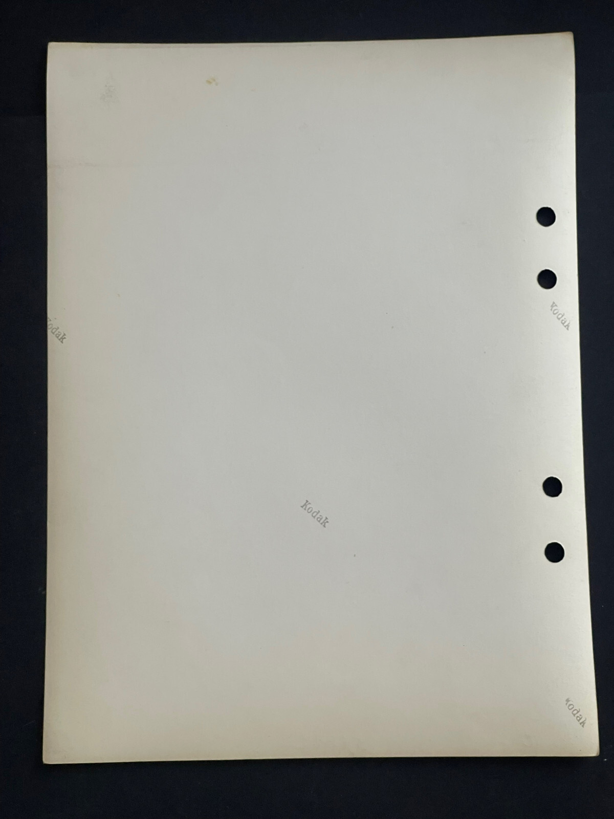 Rare Vintage Original Photo Siegel Stockman Mannequin Female Fetish Curiosa
