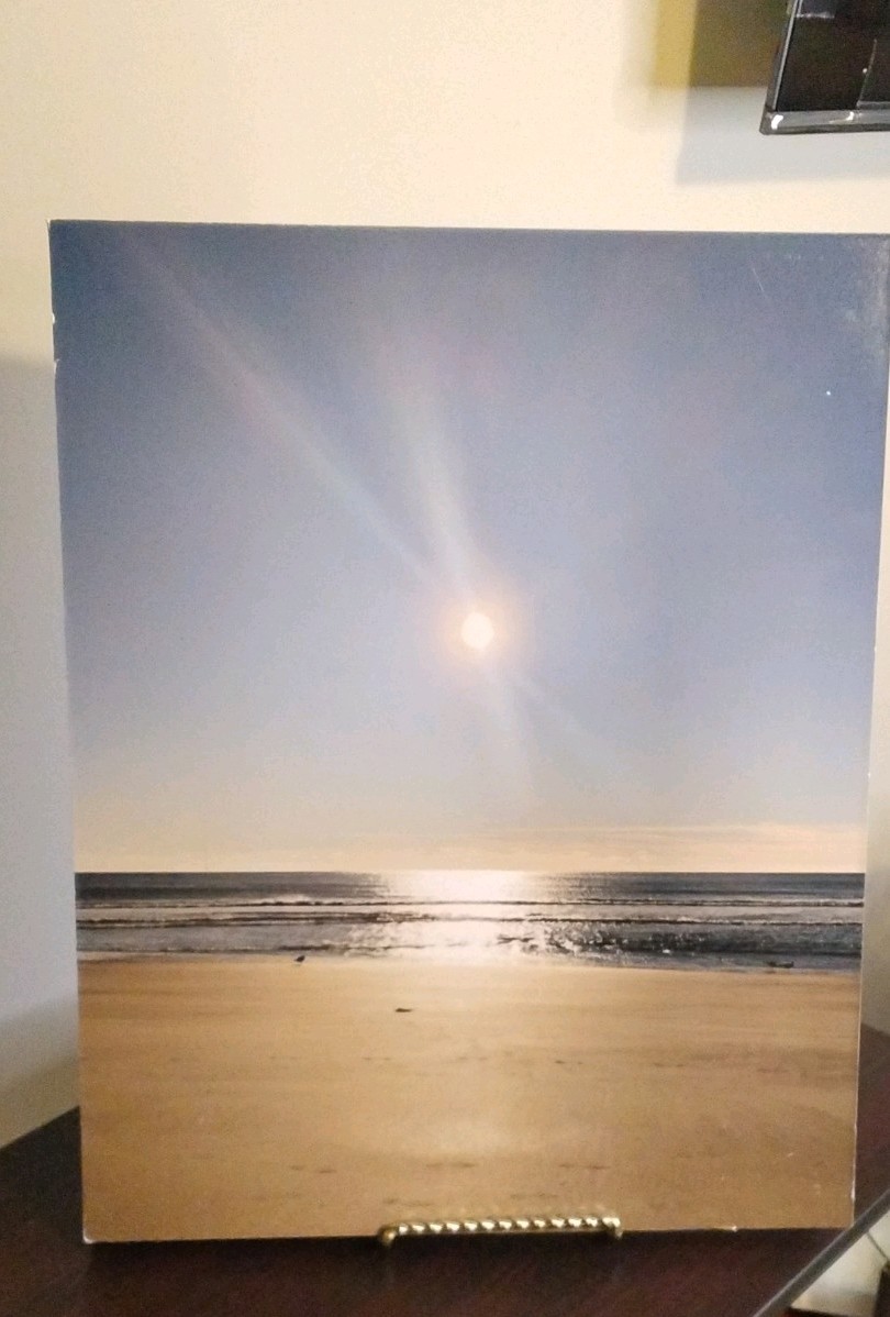 Beach Sunrise Ocean Landscape Color Art Photograph 16x20in Portrait Unframed