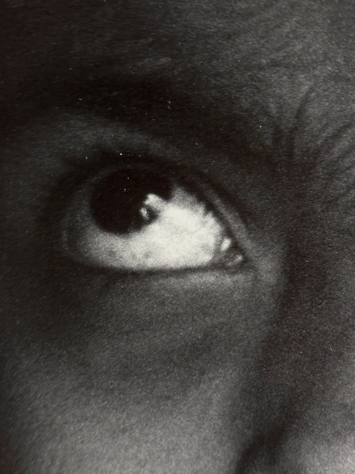 DOROTHEA LANGE Pakistani Girl (1958) Silver Gelatin ex-MoMA Collection