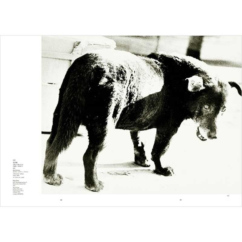 Daido Moriyama Memories of Light Photographer Photo Art Collection Book