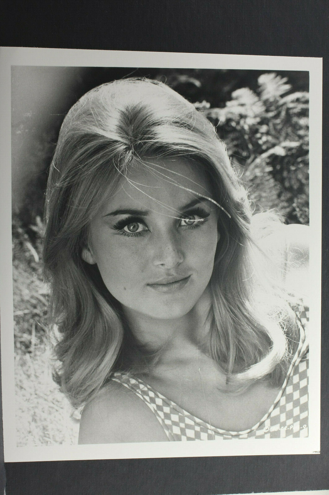 Blonde Actress Head Shot 1967 Casino Royale – 8×10″ Photo Print – Vintage L1300B