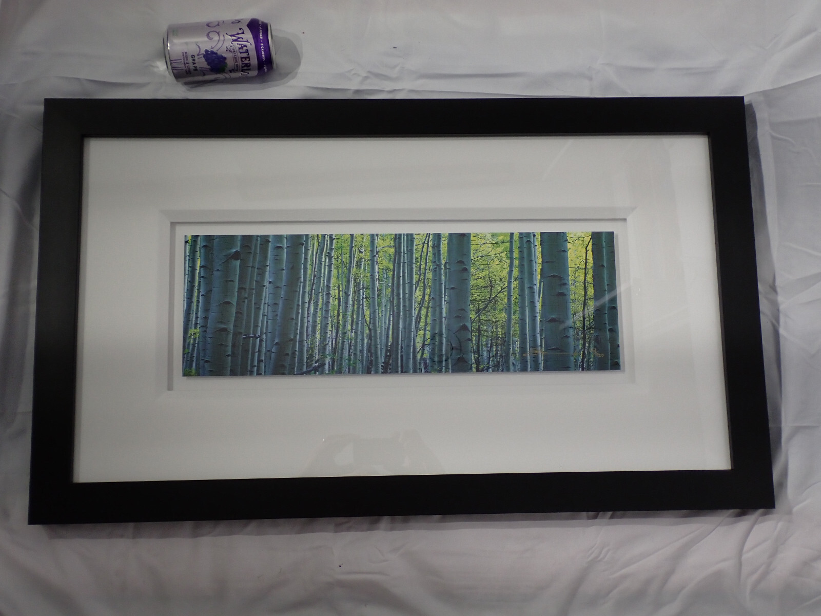 Peter Lik “Endless Birches” Birch Trees Photograph 163/950