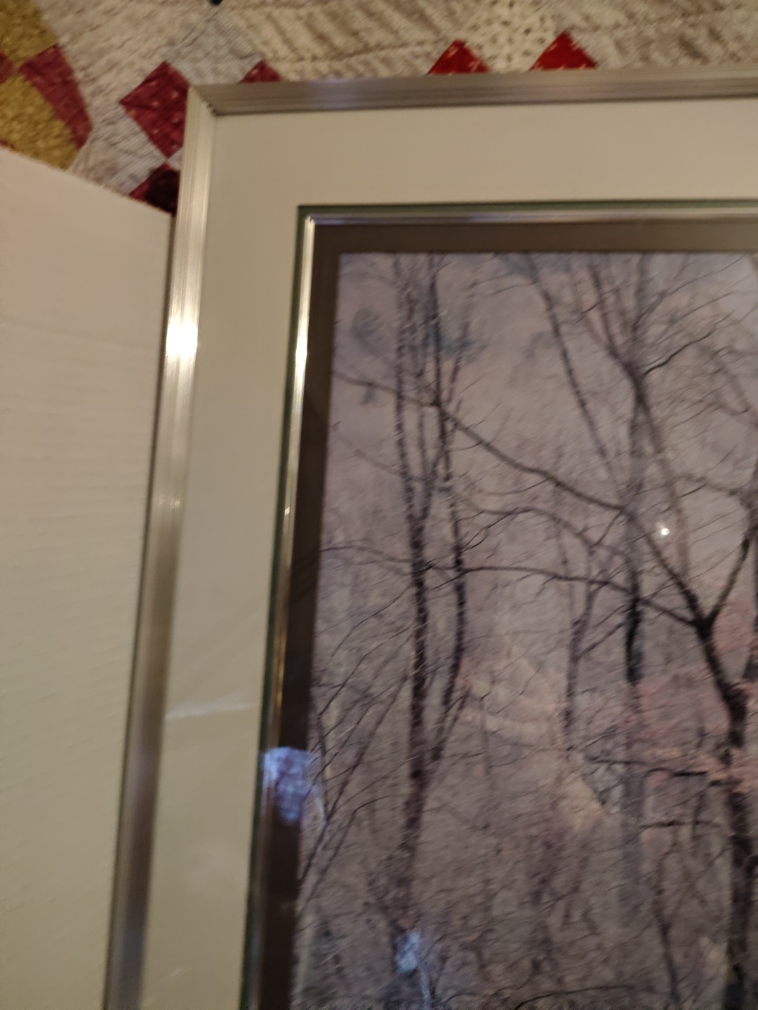 Eliot Porter Print Redbud Tree In Bottom Land Formatting’s Professional Framed