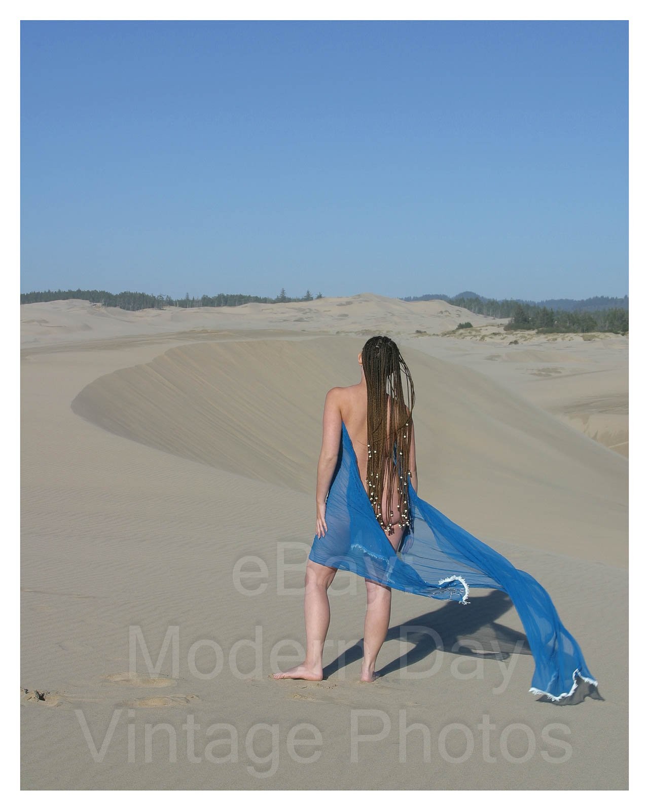 Artistic Nude 8×10 Photo original artist of Sarah on in Sand Dunes sar_0767