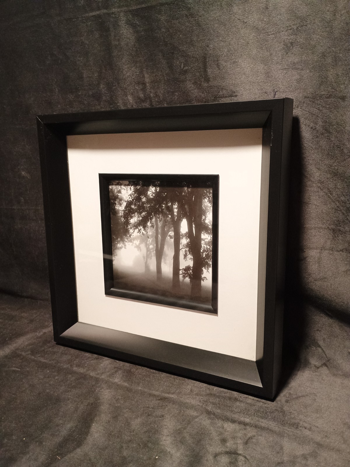 2 Modern Black & White Photography Trees Minimalist Moody 11.25 ” Square Frames