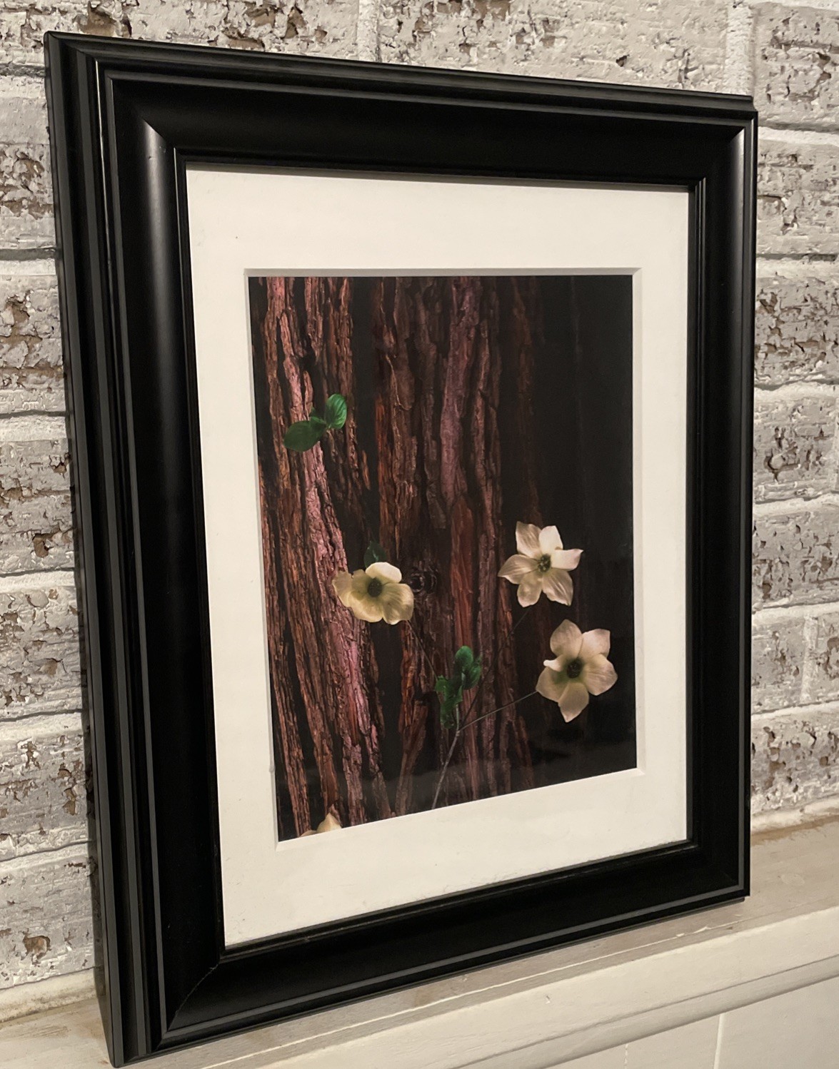 “Dogwood” Rodney Lough Jr -Open Edition Print – Yosemite National Park