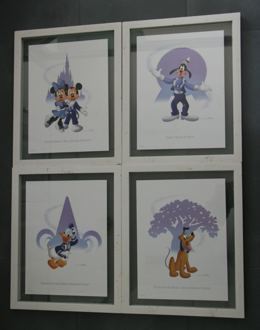 Disney Pluto Animal Kingdom Donald Duck Hollywood Studios Goofy Epcot Lith Set