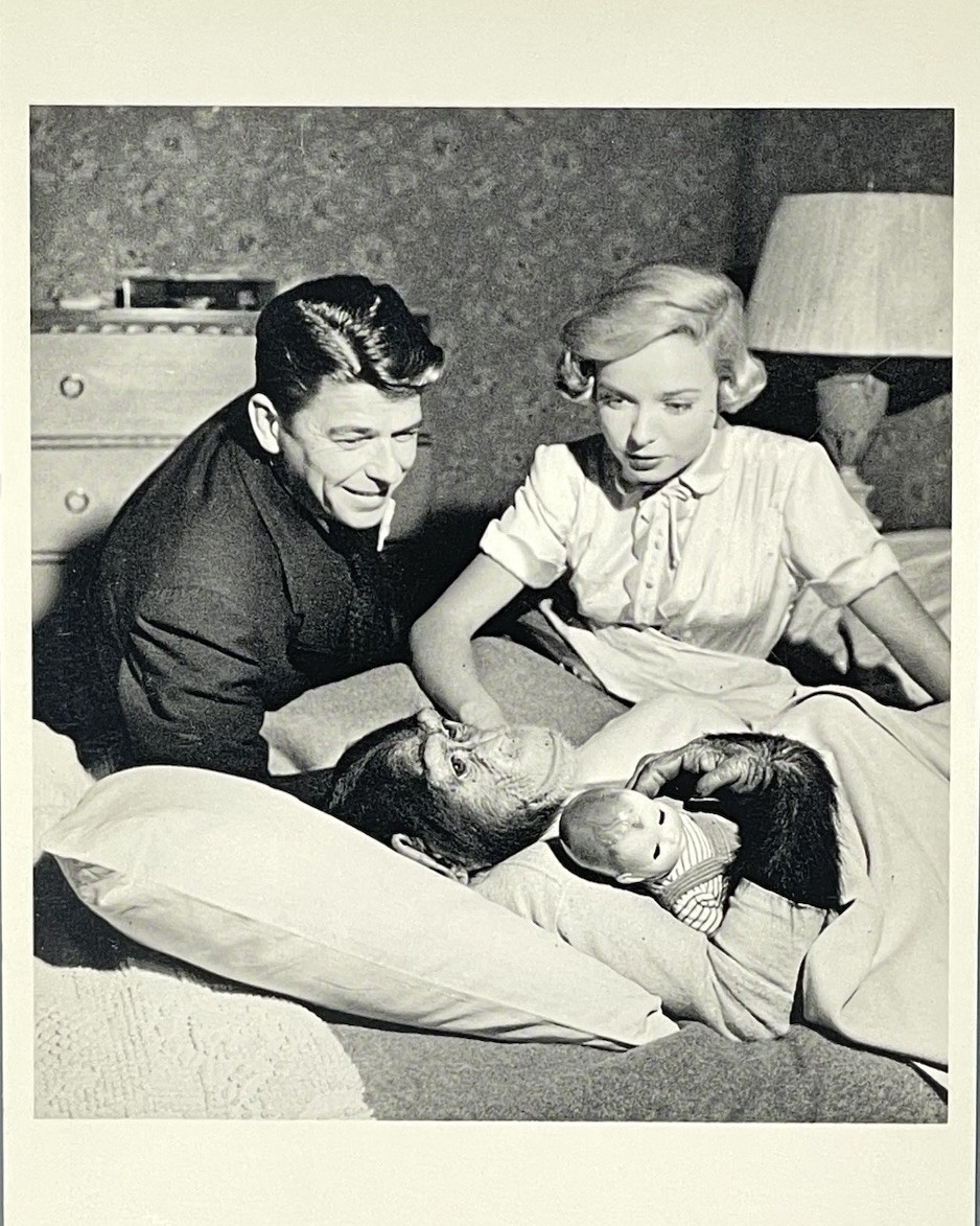 Ronald Reagan 1951 Bedtime For Bonzo Art Print Card Photo By Ida Wyman 4.25”x6”