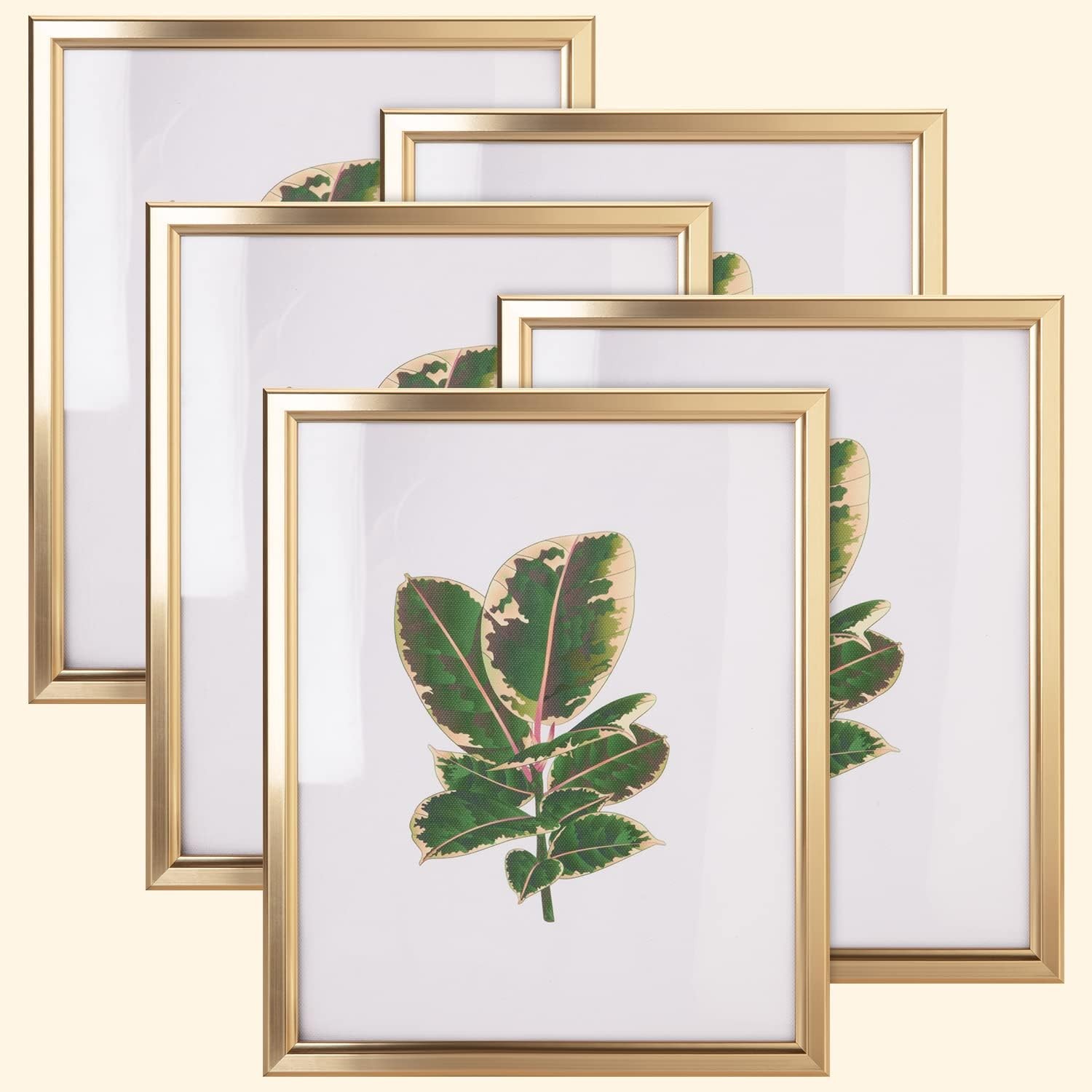 8×10 Picture Frame – Set of 5, Matte Gold 8 x 10 Photo Frame with High-Defini…