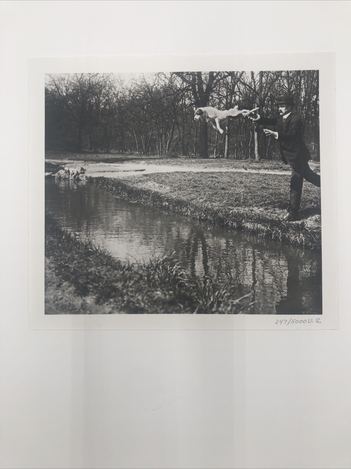 Bois De Boulogne Numbered Print by Jacques-Henri Lartigue