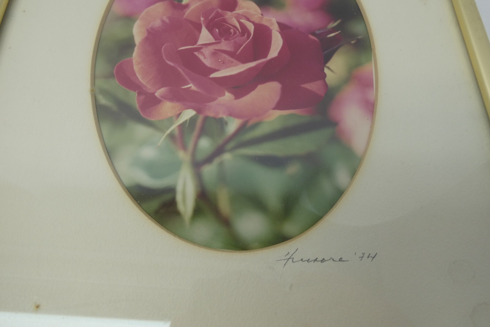 Signed 1974 Gold Framed Matted Flower Floral Photographs Pink Rose Photos Decor