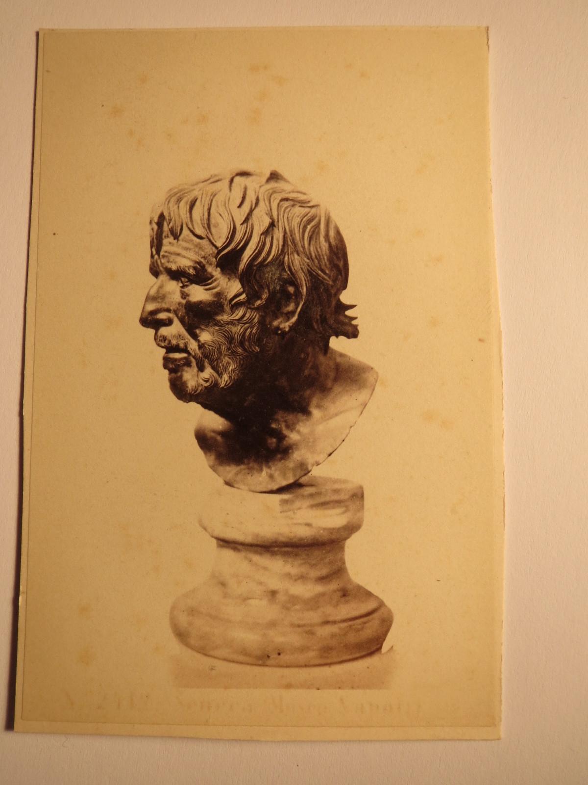 Pseudo Seneca – Museo Napoli – Naples – Naples / CDV