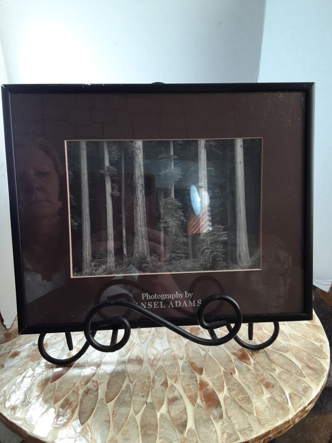 Vtg Ansel Adams Redwoods CA In Original Museum Graphics 8×10 Photo Ships Frm USA