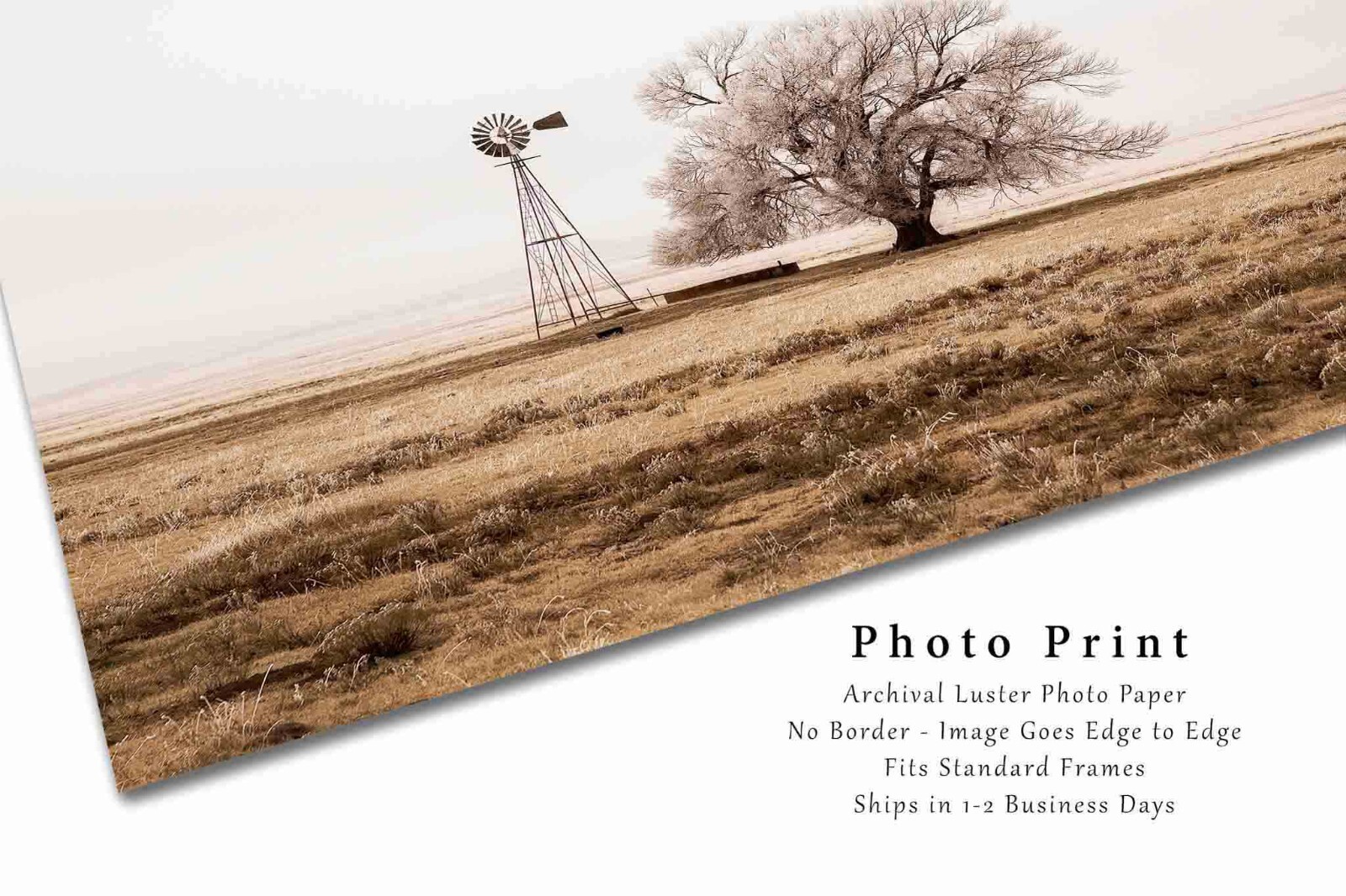 Windmill Photography Print: New Mexico Tree High Plains Sepia Country Photo