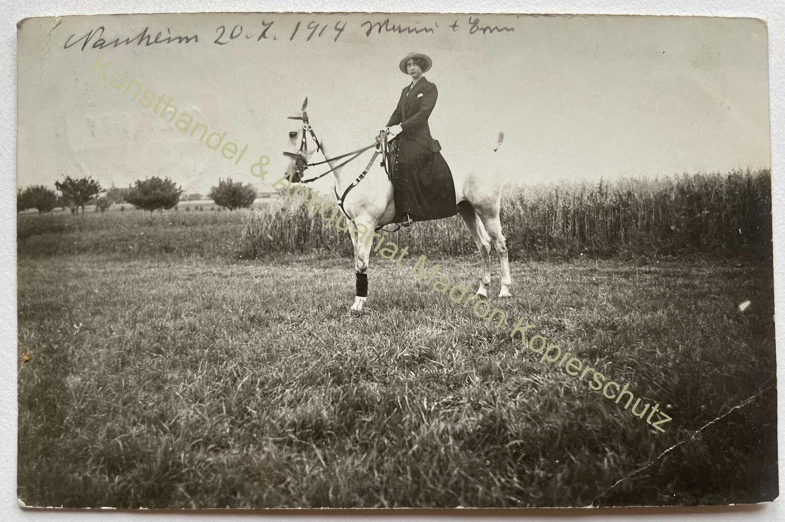 orig. Photo postcard Bad Nauheim 1914 horse woman