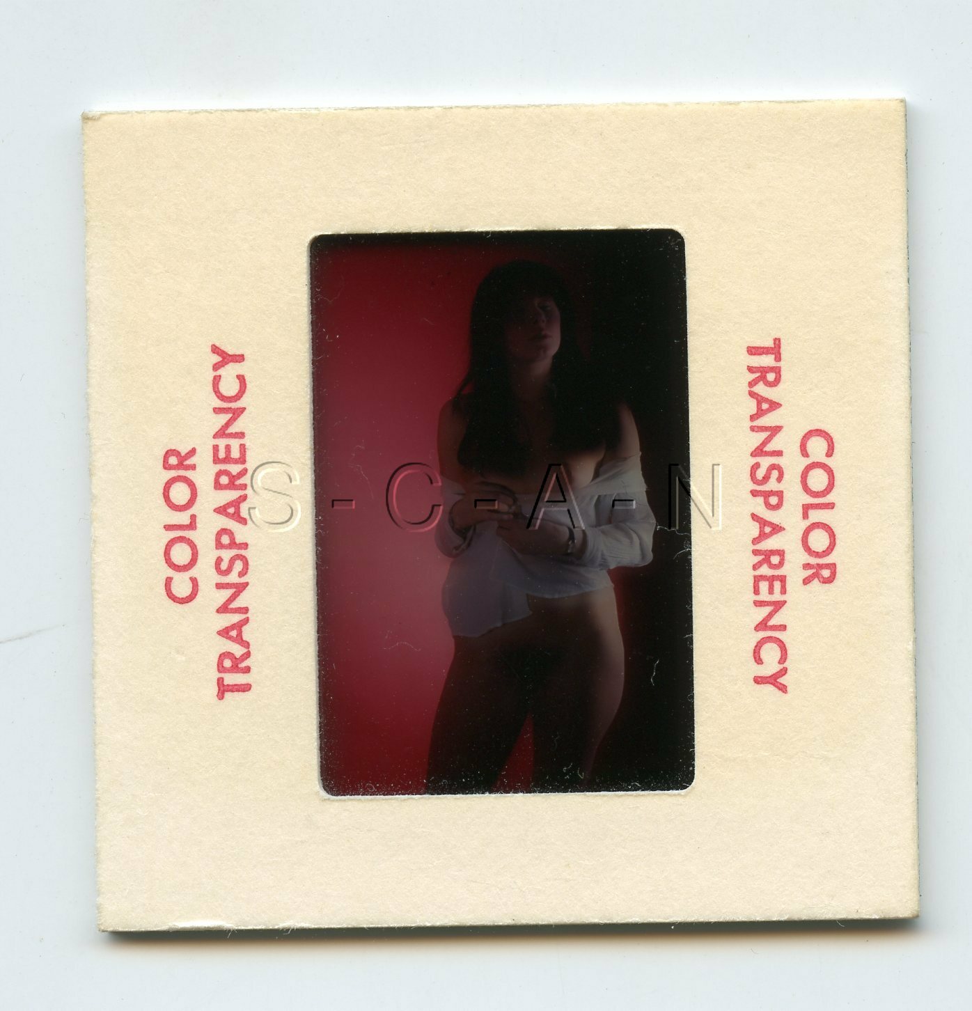 Org Camera Club Nude 1960s 35mm Slide / Negative- Long Dark Hair- Woman- Legs 25