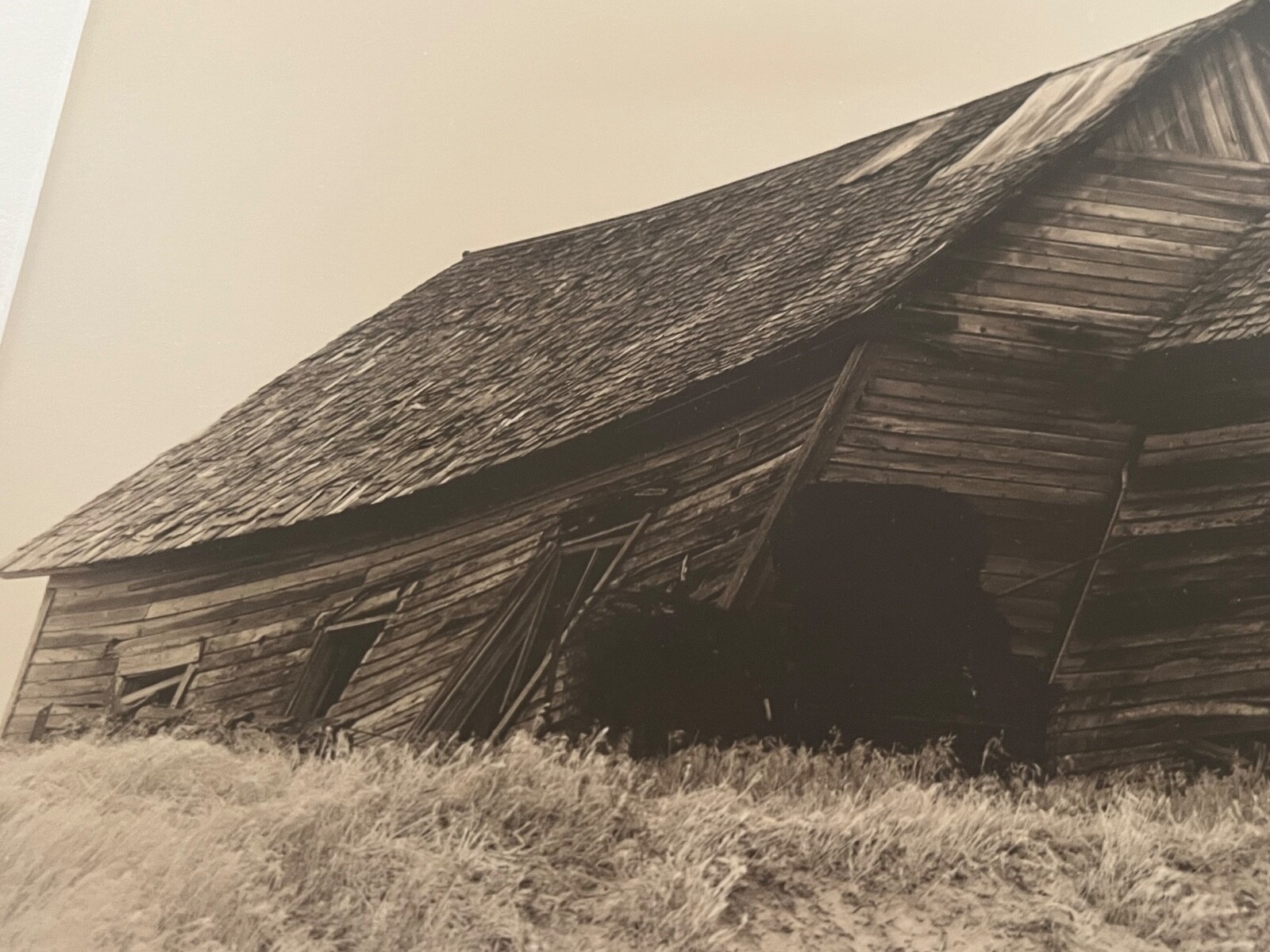 Brook Hedge Original Fine Art Photography Barn Rural America Lewes & Sandwich NH