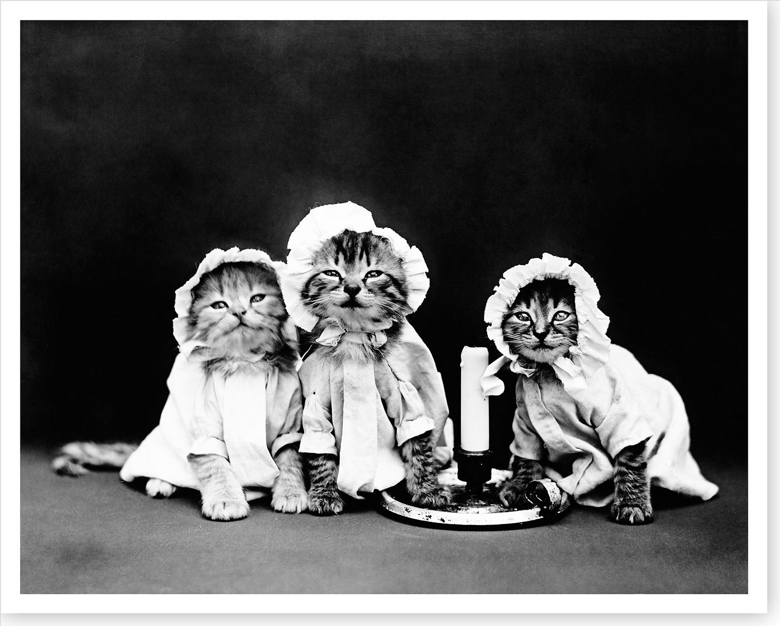 1914 Bedtime Kittens Cats In Pajamas With Candlestick Silver Halide Photo