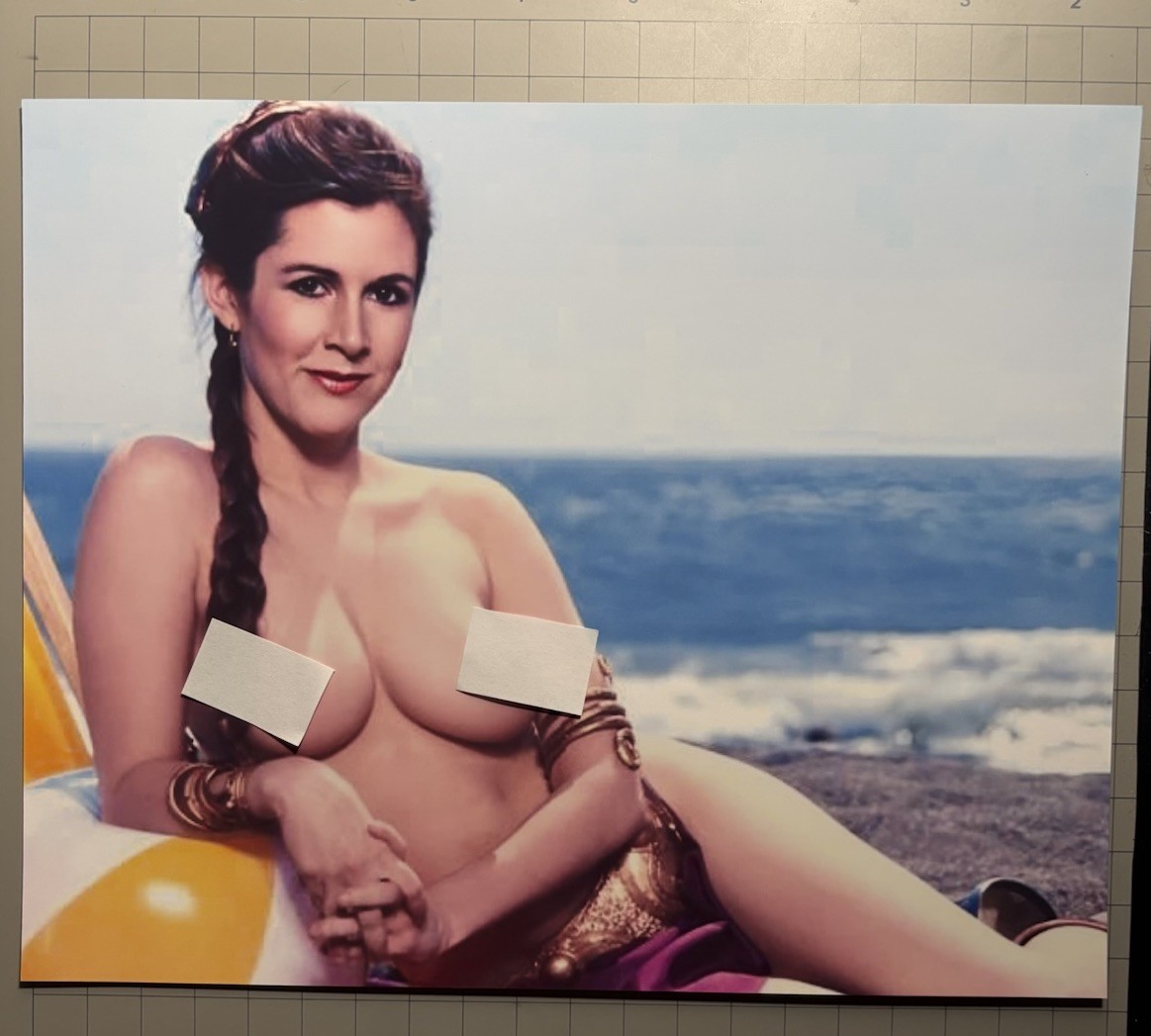Princess Leia Slave Leia Return Of The Jedi Star Wars Custom 8X10 Photo + Bonus