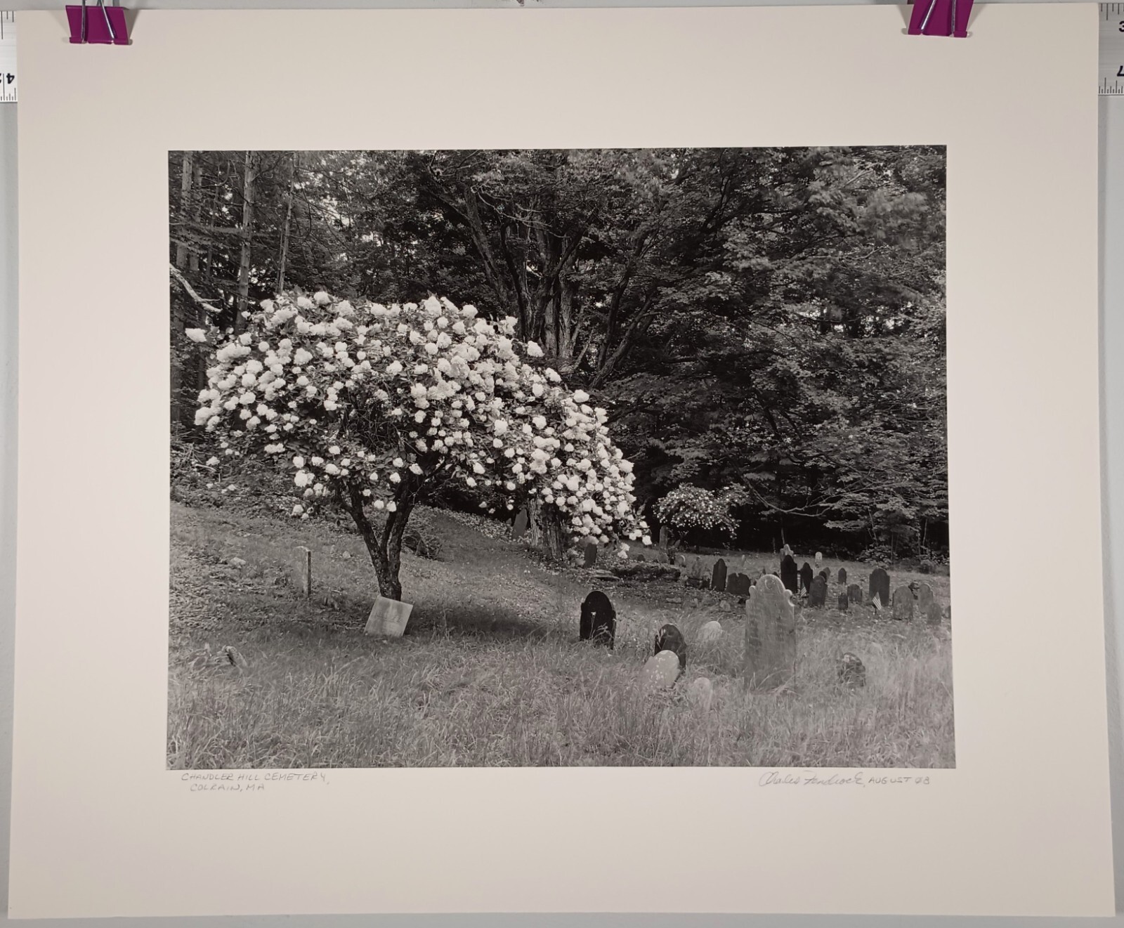 Large Format B&W Photo Chandler Hill Cemetery Colrain MA by Charles Fendrock