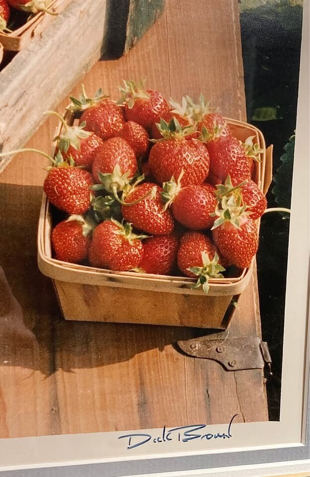 Dick Brown Photography “Strawberries” Limited Edition Amish Life Farmhouse Décor