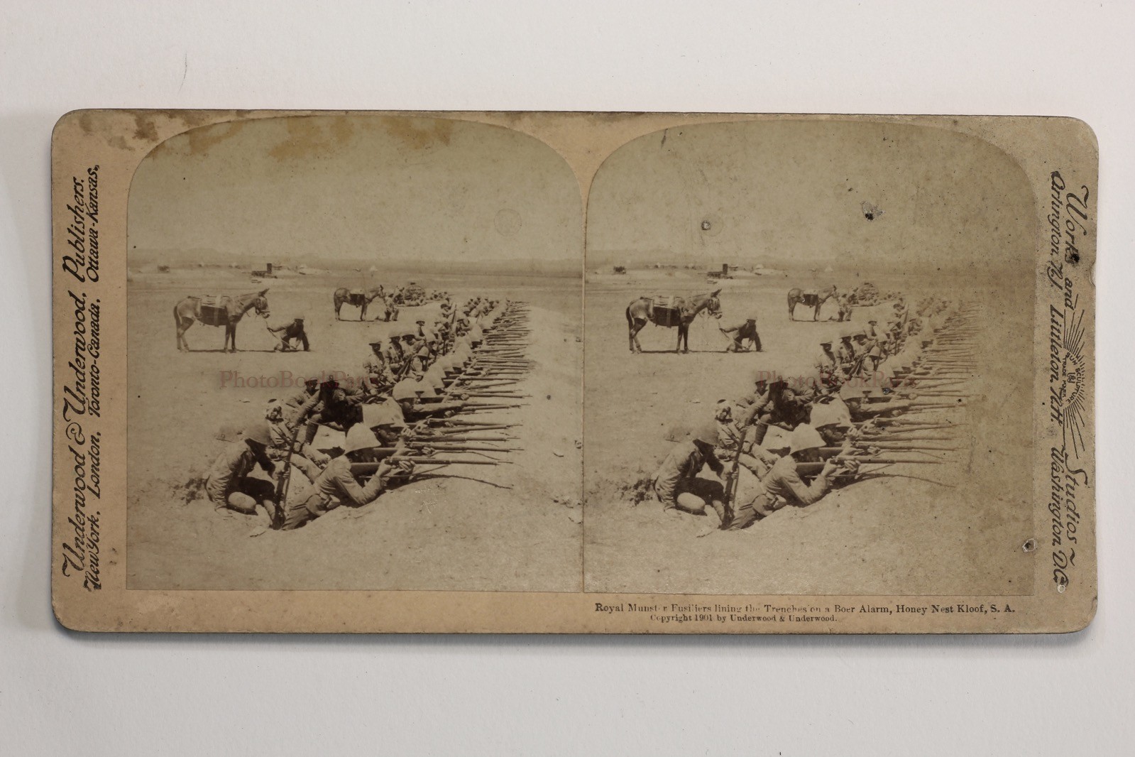 Guerre Des Boers (1899-1902) South Africa UK Photo 25 Stereo Vintage Album