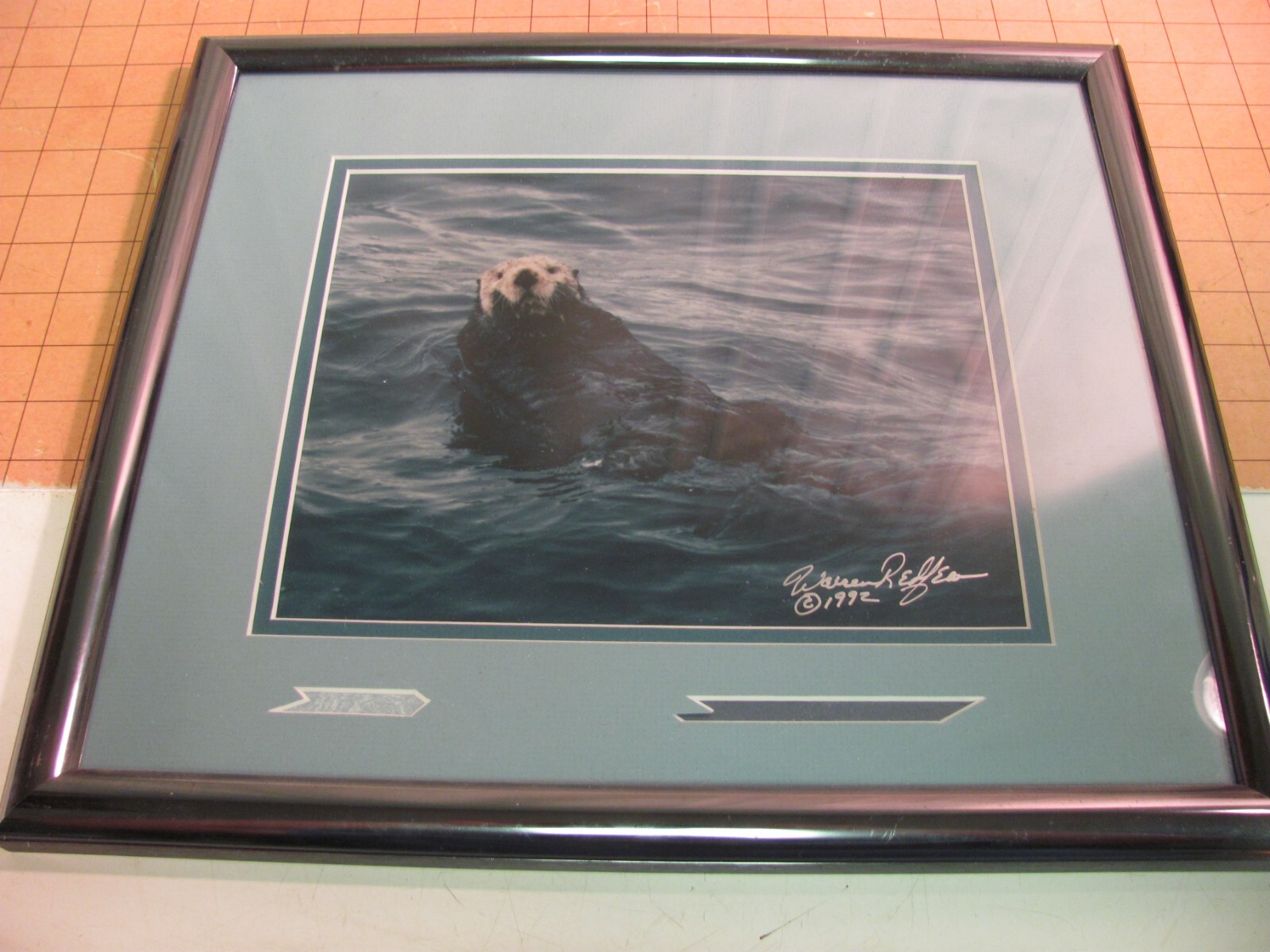 Warren Redfean Signed Photo of Sea Otter Professionally Framed 1992