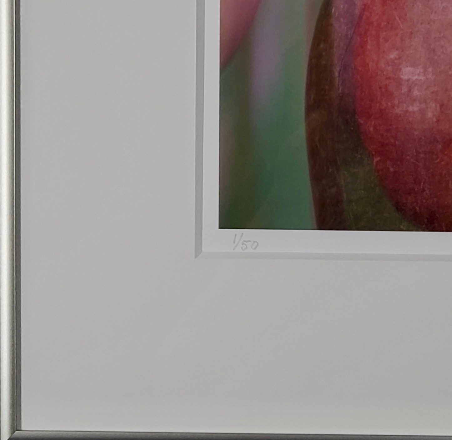 Marie Plakos Abstract Tulip Photograph Modern Botanical Wall Art