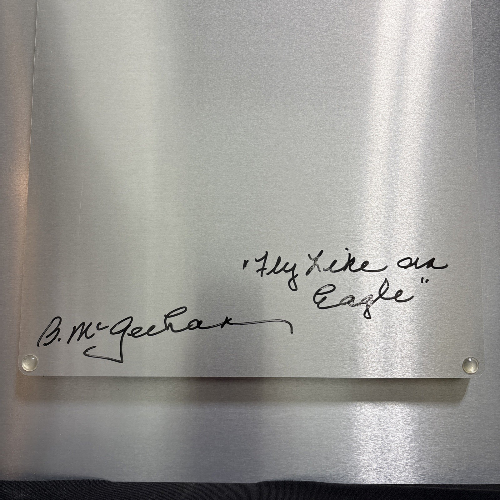 Betty McGeehan “Fly Like an Eagle” Signed Metal Photograph on Aluminum (C)