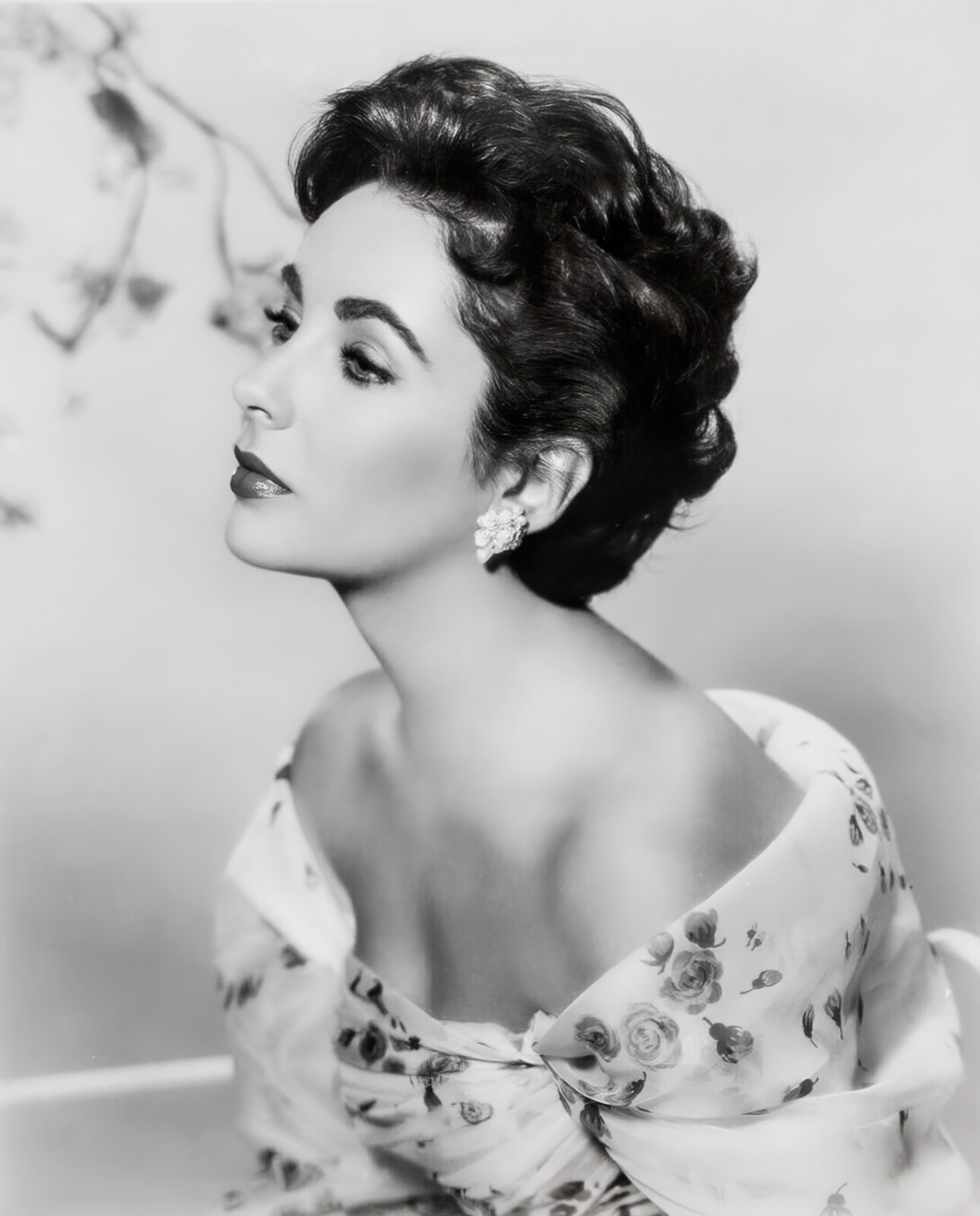 Elizabeth Taylor publicity photo/poster c. 1956, reprint – multiple sizes: 1243