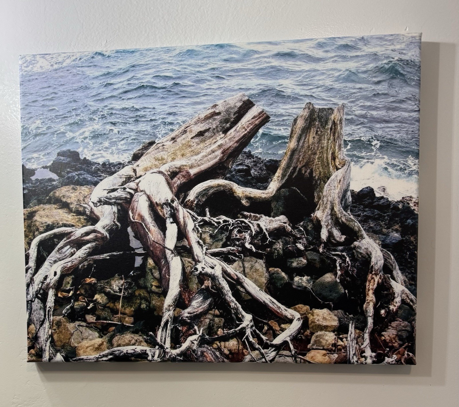 M.Rafeek Original Photograph “The Lovers” Canvas Matted 20″ x 16″ – A2000