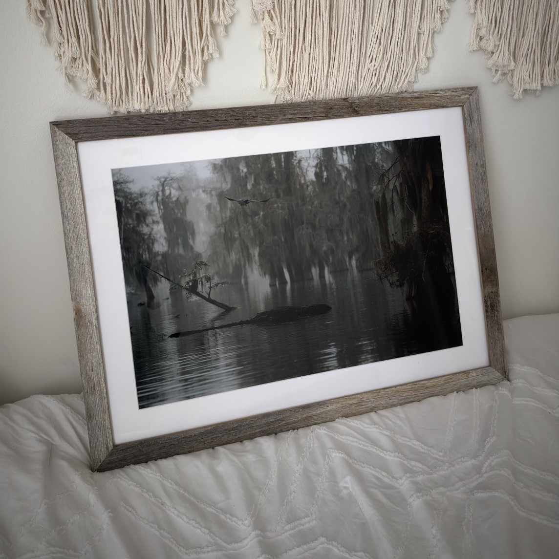 Foggy Morning Moves | Original Fine Art Photograph 1/1 | 16×24 Giclée Print