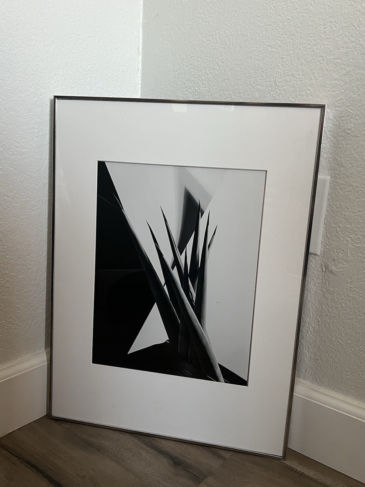 Imogen Cunningham(1883–1976) Agave Design I, 1920-1923, Gelatin Silver Print