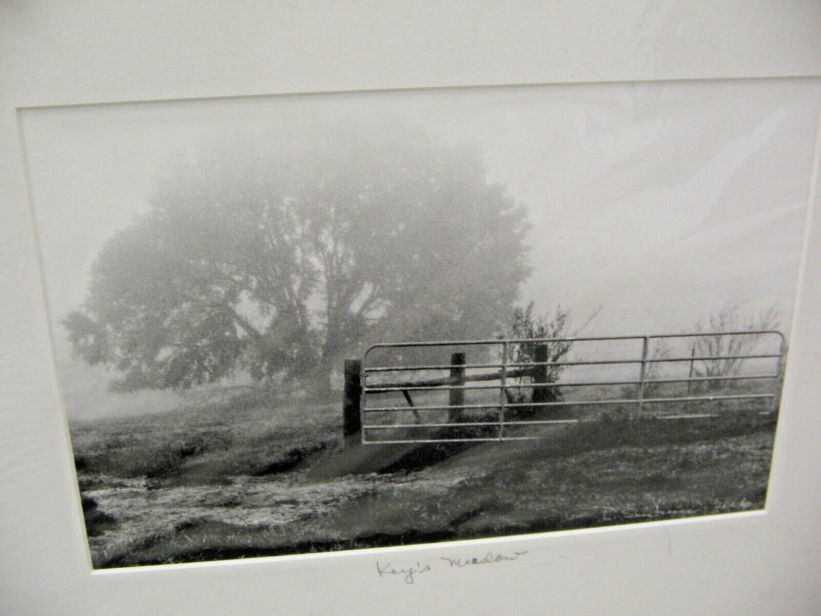 ART PHOTOGRAPHY 16×20 Kay’s Meadow B&W Matte Acid Free by Larry Santucci